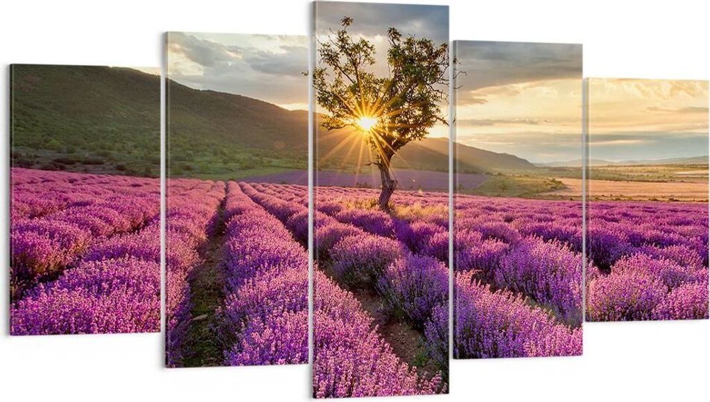 Bild auf Leinwand - Leinwandbild - Lavendel Berge Feld - 160x85cm - Wand Bild - Wanddeko - Leinwanddruck - Bilder - Kunstdruck - Wanddekoration - L...