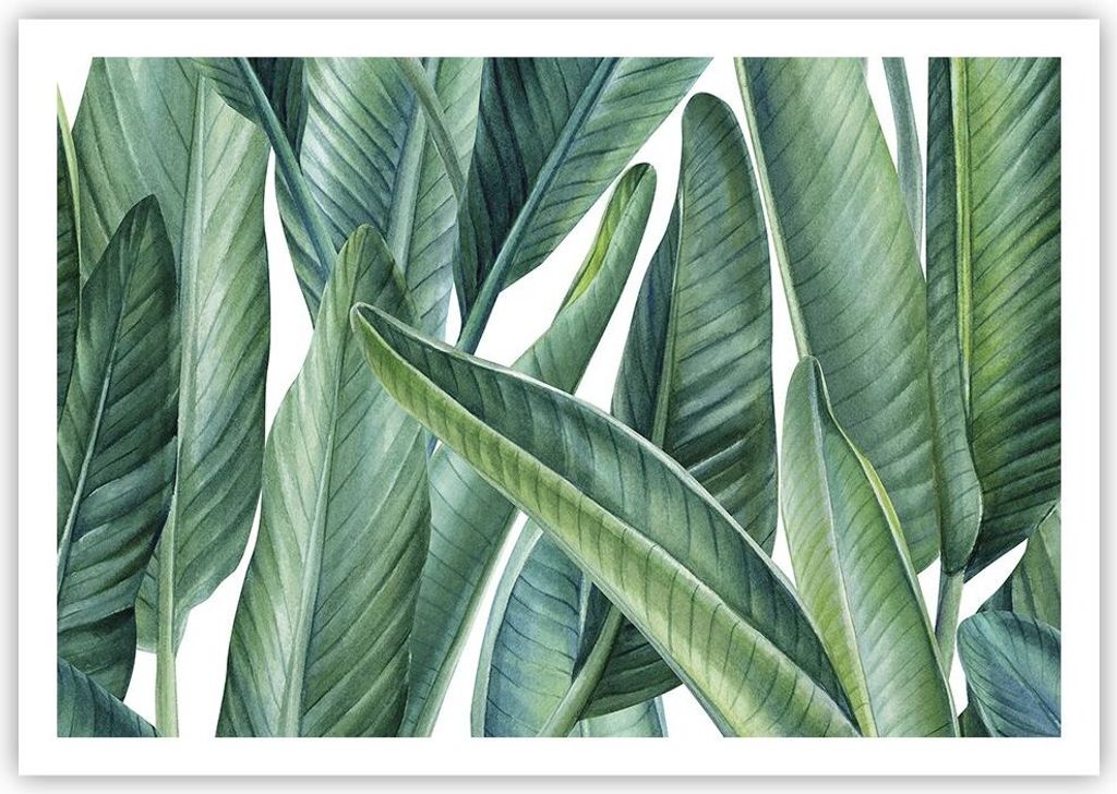 Poster - Poster ohne Rahmen - Exotisch Blätter Grün - 100x70 cm - Wand Bild - Wanddeko - Wandbilder - Kunstposter - Wandposter - Bilder - Kunstdr...