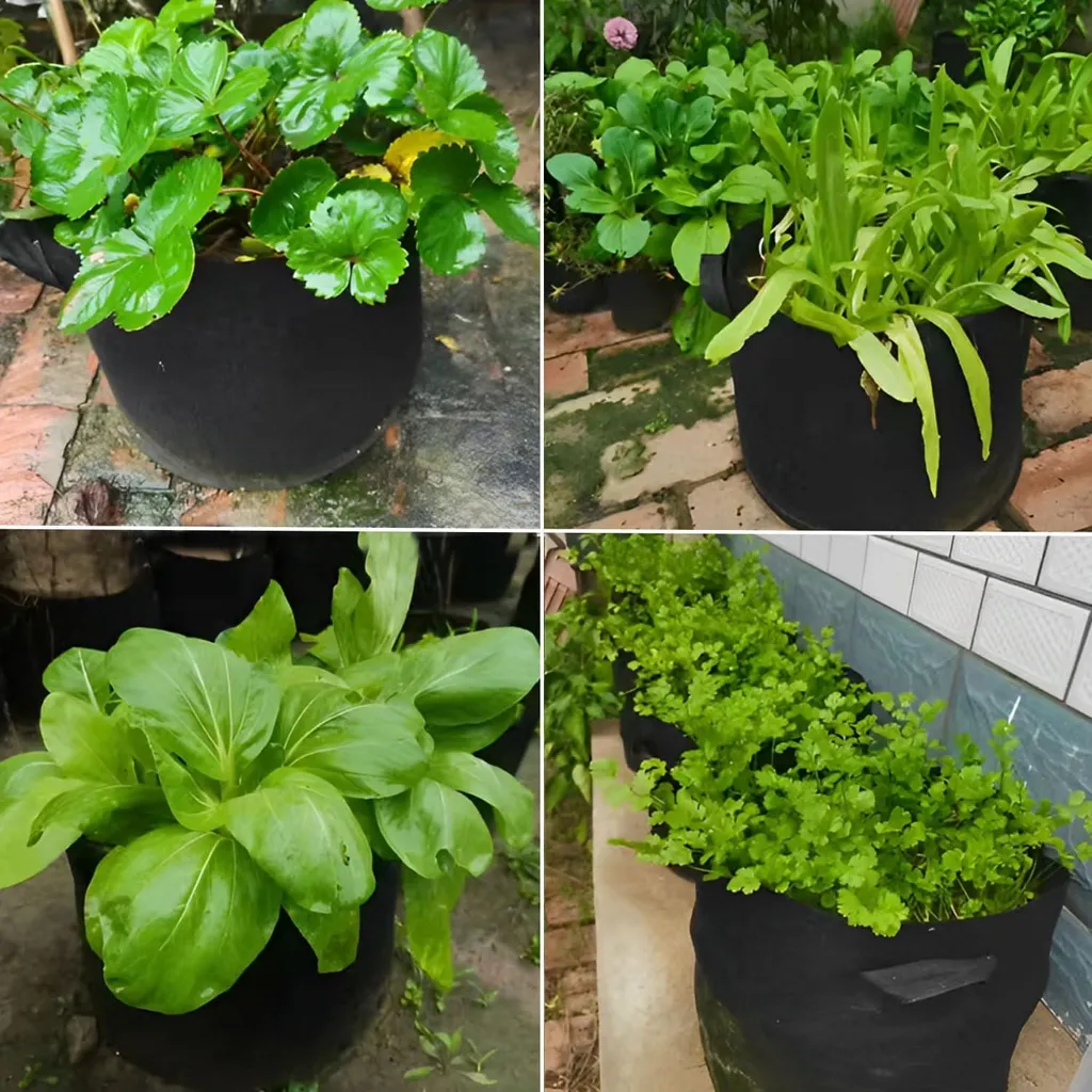 Sacs de plantation robustes et drainants 12L en géotextile - 5 pièces