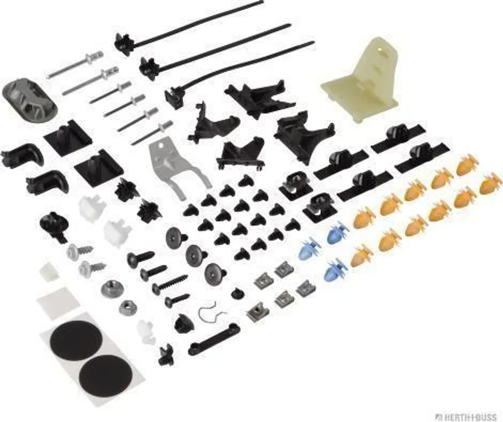 Agrafes de fixation pour garniture intérieure Duster - Kit 800993349R