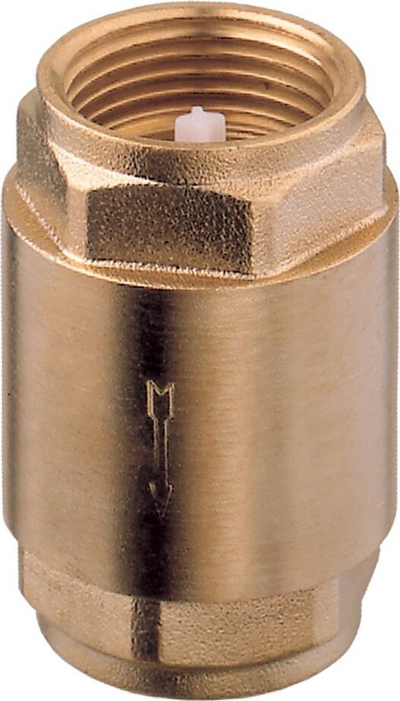 Guidi Federbelastetes Rückschlagventil 1 1/2"