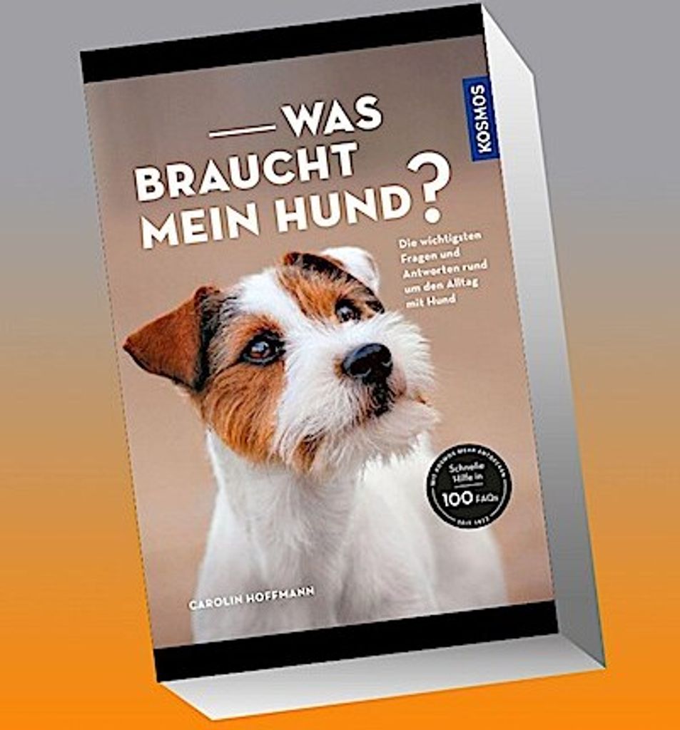 Was braucht mein Hund?