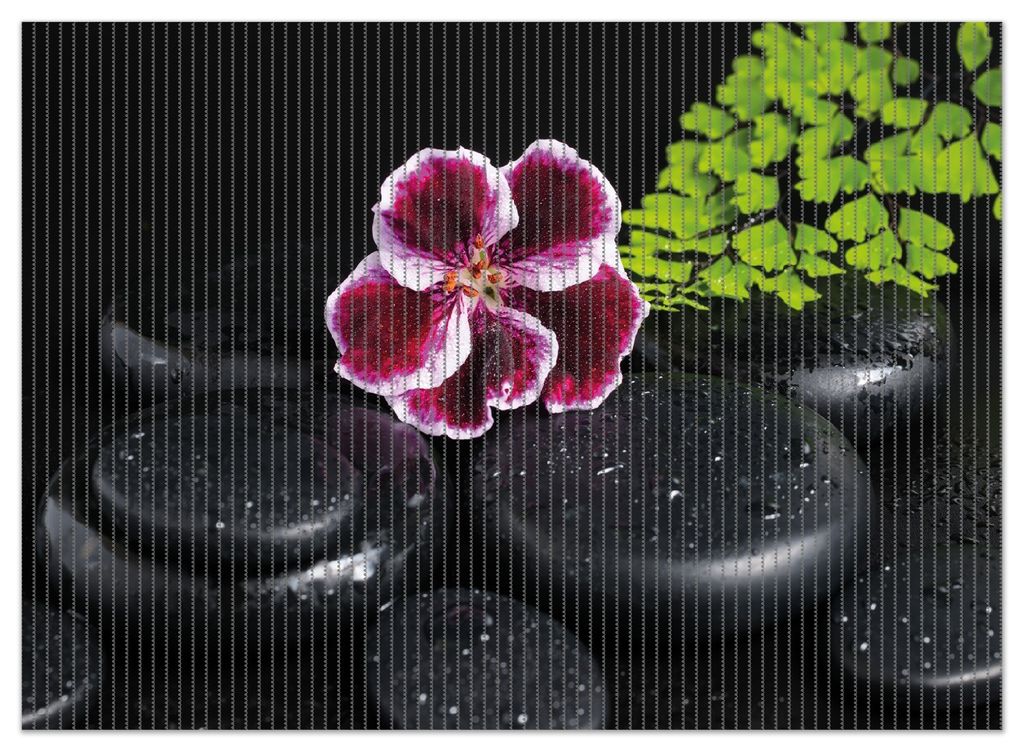 Wallario Duschmatte Antirutschmatte Badmatte Fußmatte Geranienblüte auf schwarzen Steinen, benetzt mit Wassertropfen, Größe ca. 90 x 65 cm