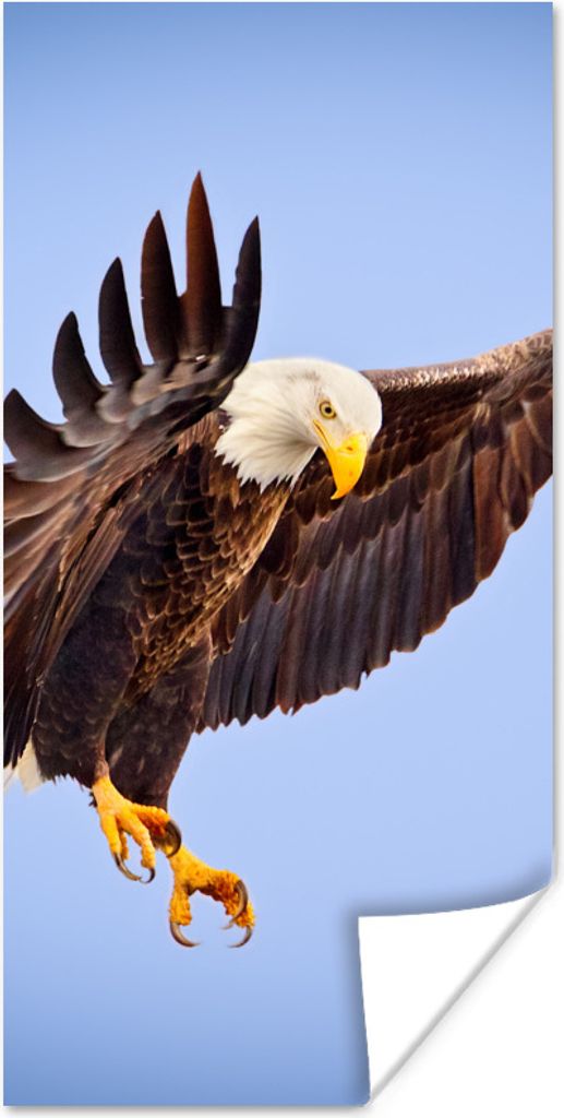 MuchoWow Poster Ein Weißkopfseeadler am blauen Himmel 80x160 cm - Kinderzimmer