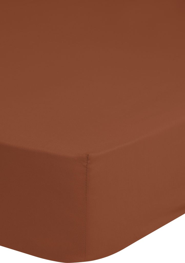Fitted sheet Good Morning 100x200 cm - Solid color