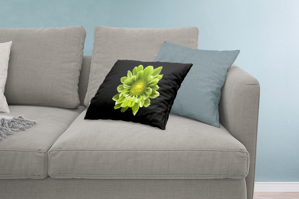 MuchoWow Zierkissen Sofakissen Wohnzimmer Dekokissen 60x40 cm Eine Nahaufnahme der Chrysanthemenblüte vor schwarzem Hintergrund - Kopfkissen - P...