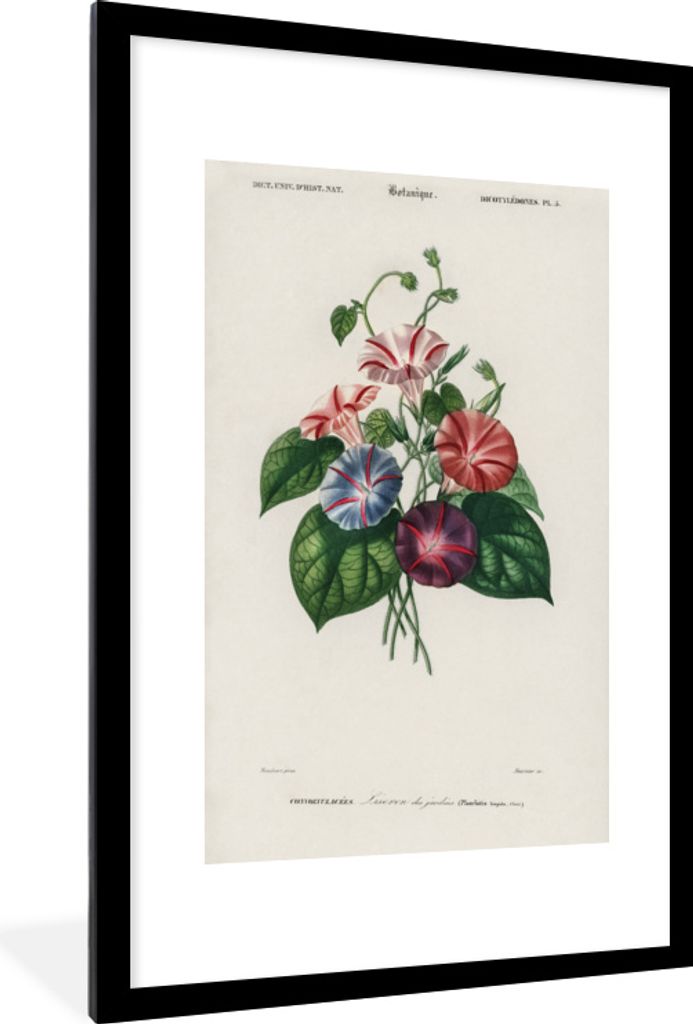 MuchoWow MuchoWow Gerahmtes Poster Blumen - Vintage - Blatt 60x90 cm - Poster mit zchwarzem Bilderrahmen - Dekoration - Wandposter Wohnzimmer -...