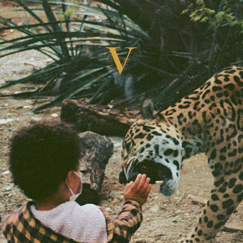 Unknown Mortal Orchestra V Double Vinyle Bleu Édition Limitée 2 LP