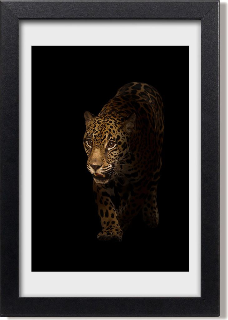 Bild 20x30 MDF-Rahmen, Wandkunst Jaguar