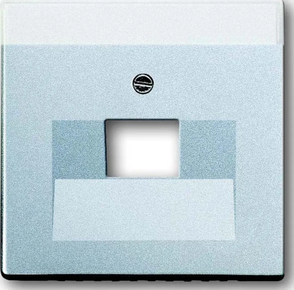 Disque central alusi Busch-Jaeger 1803-83 finition argent durable