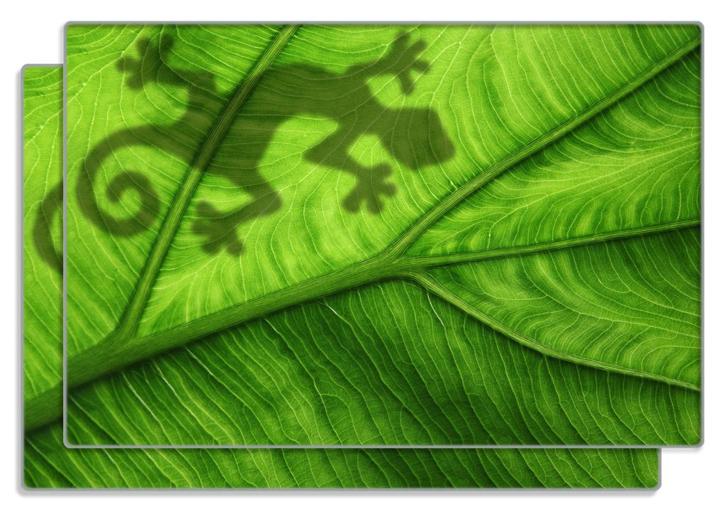 Wallario Frühstücksbrettchen 2er Set aus Glas, je 20 x 30 cm, mit rutschfesten Füßen, Motiv Gecko Schatten auf grünem Blatt - Umriss