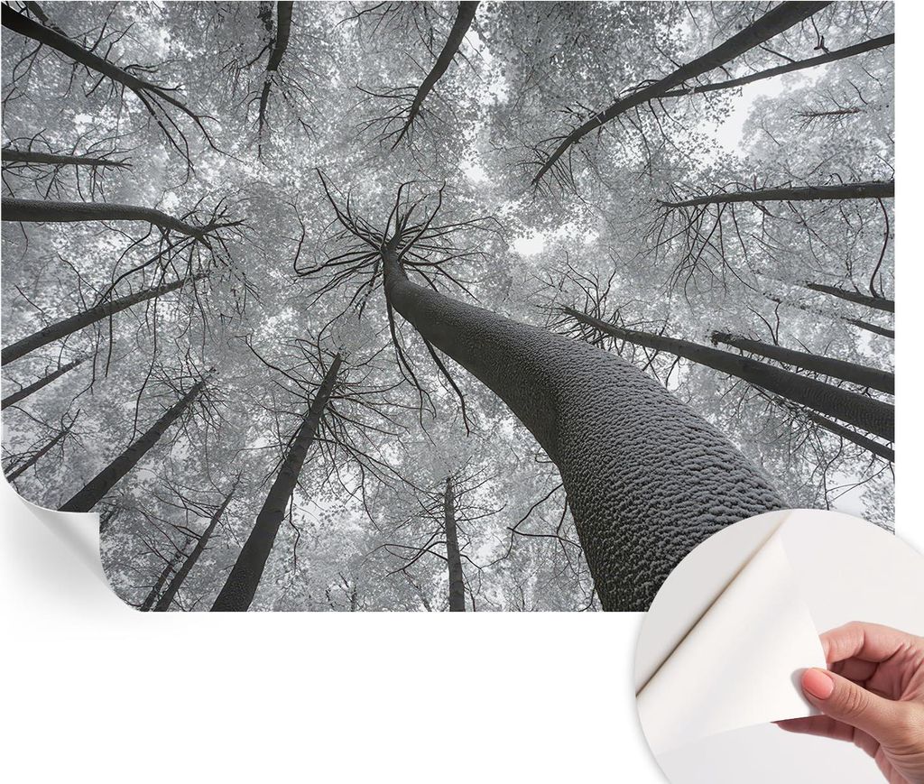 Selbstklebende Wandtapete - Dekorative Tapete für Wohnzimmer - Klebefolie für Wandbilder - Tapetenfolie für Wanddekoration - 152x104 cm - Winter...