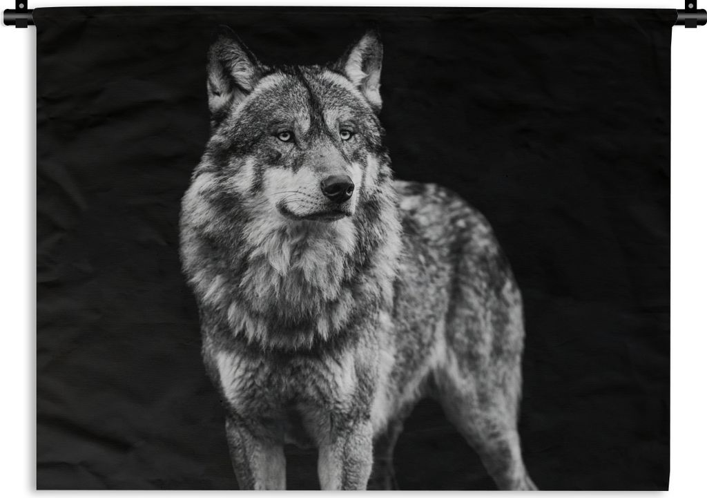 MuchoWow Wandteppich Wandbehang Wolf - Tiere - Wild - Schwarz - Weiß 120x90 cm Tapisserie Dekoration Wandtuch - Wohnen - Aufhänger für die Wand