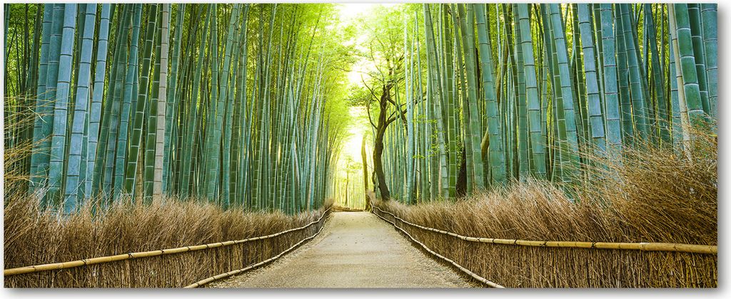 Tulup Leinwandbild - 125x50 cm - Wandkunst - Drucke auf Leinwand - Leinwanddruck - Landschaften - Grün - Bambuswald