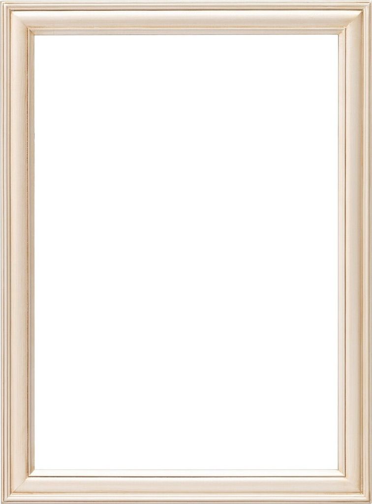 Spiegel Ricca 60x80cm silver