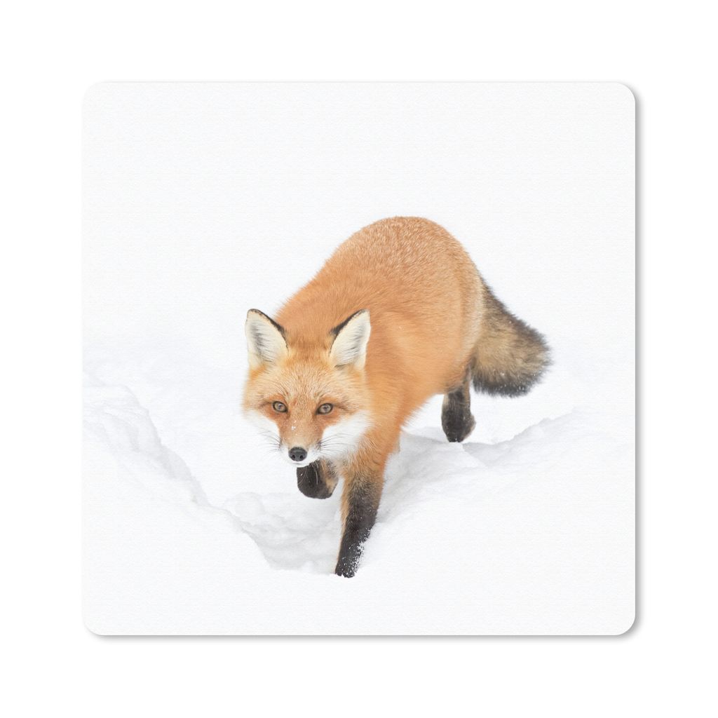 MuchoWow® Mauspad Mousepad Fuchs - Schnee - Winter 20x20 cm Produktbild 