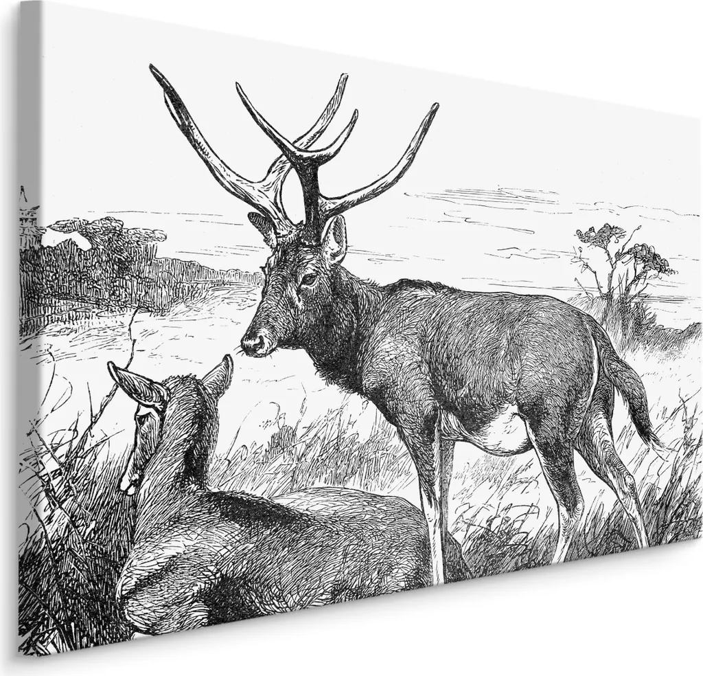 Quadro Cervo Schizzato su Tela 70x50 - Arte e Natura in Casa Tua