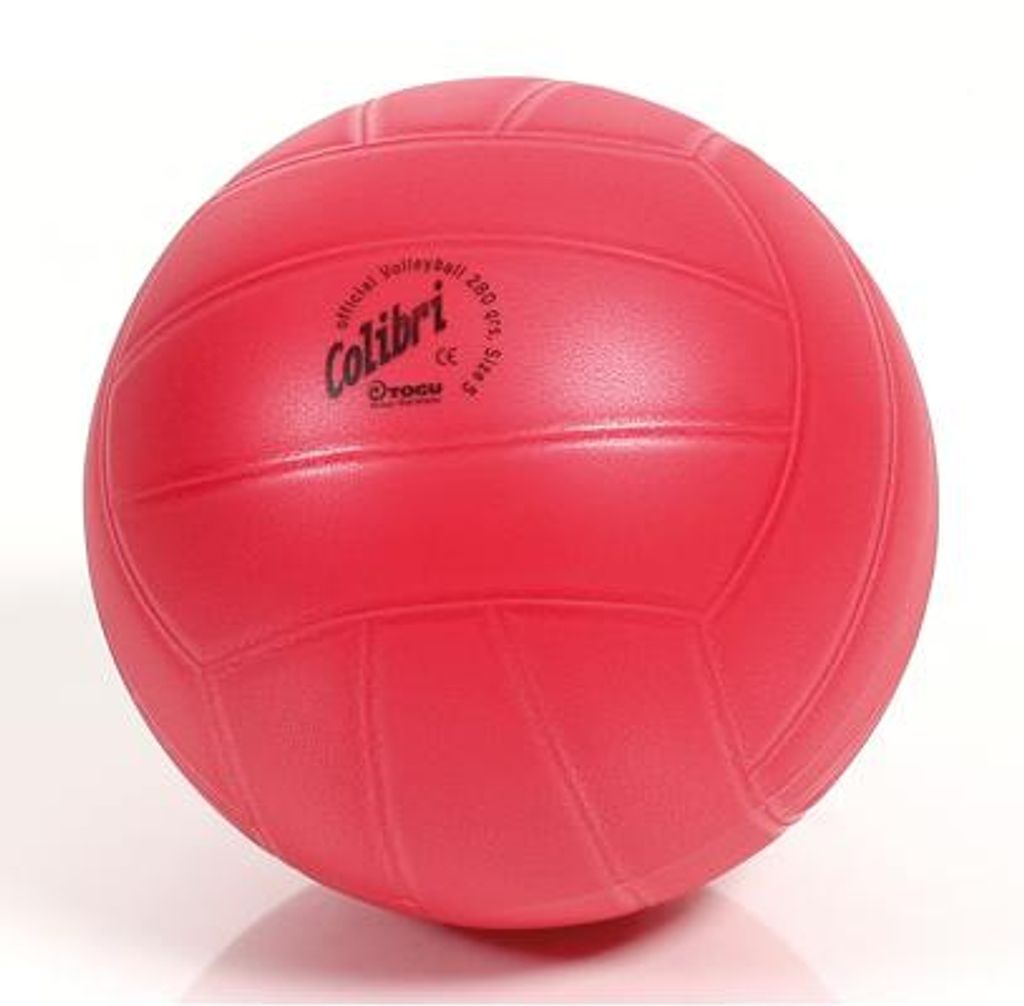 TOGU Colibri -Volleyball Trainingsball