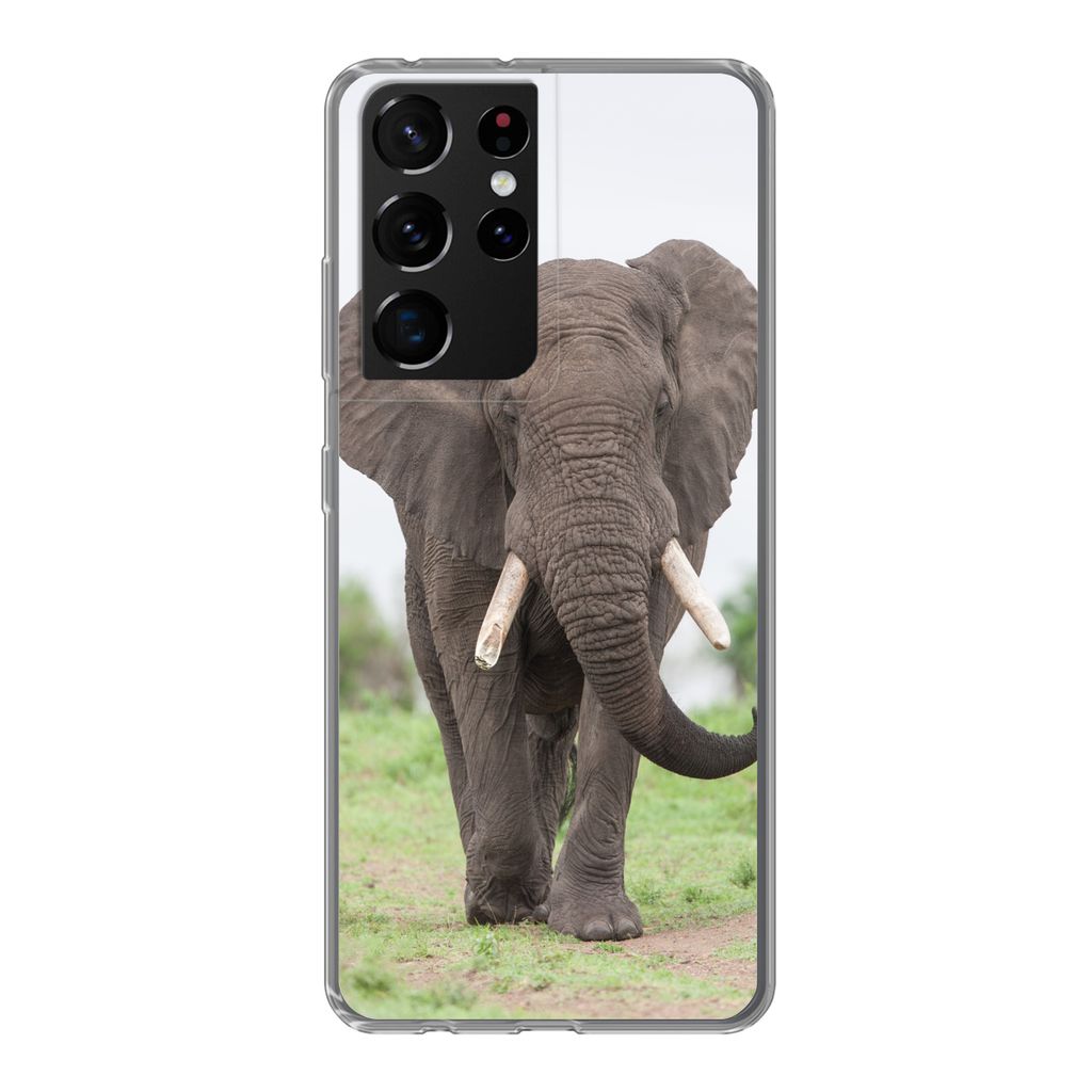 MuchoWow Handyhülle Schutzhülle Hülle für Samsung Galaxy S21 Ultra Elefant - Tiere - Gras - Natur Silikon Softcase Handy Hülle - Mobiltelefon