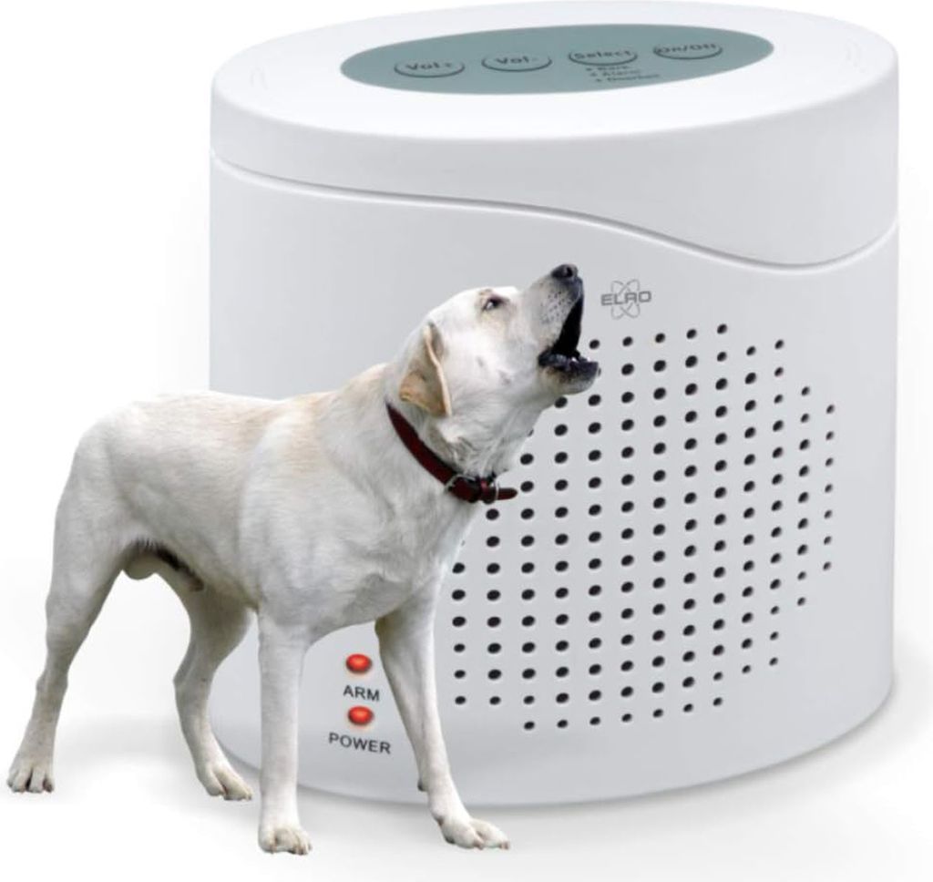 A white electronic dog bark deterrent device with a white dog in front of it.