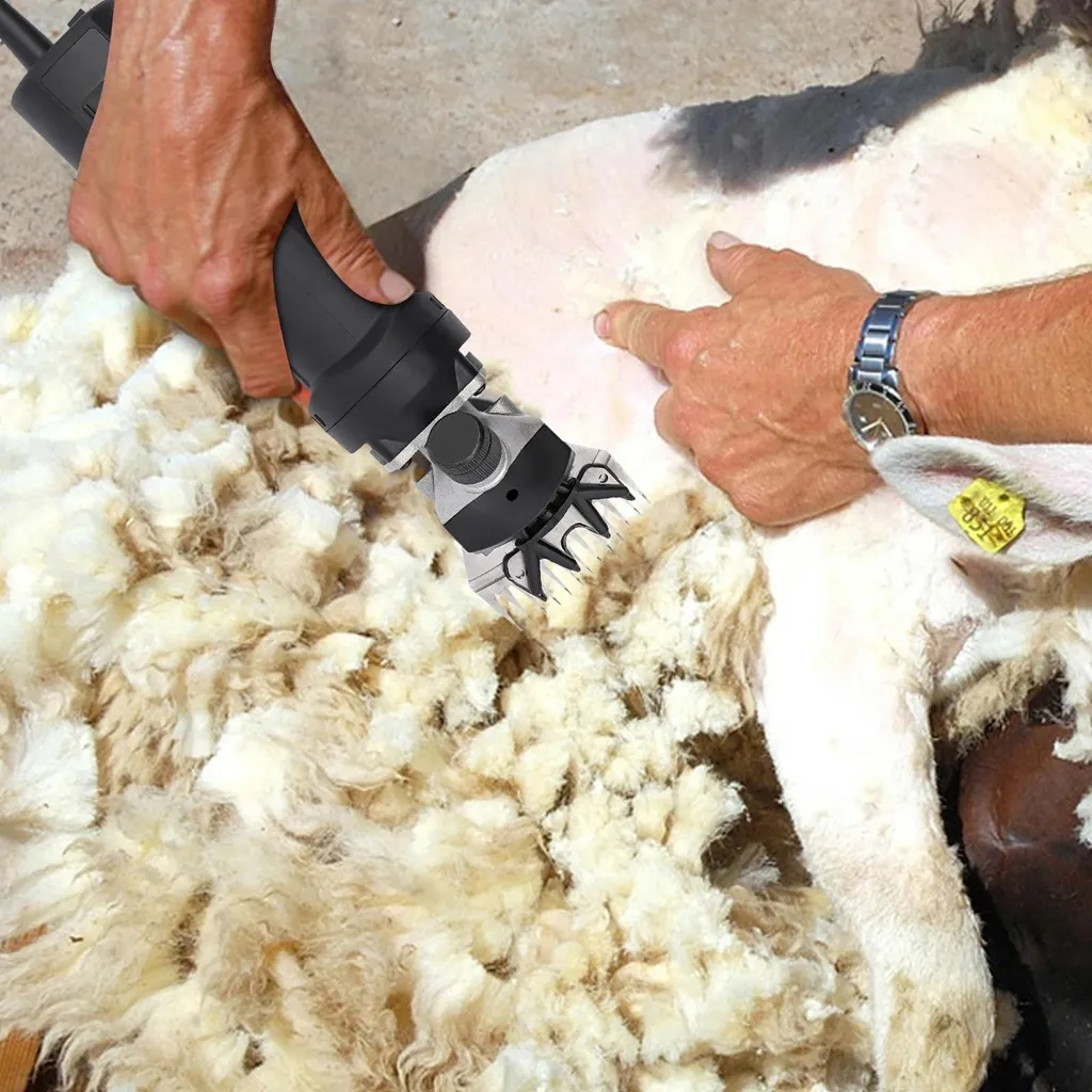 Tondeuse chien secteur à vitesse variable - Puissance AC sans batterie - 2