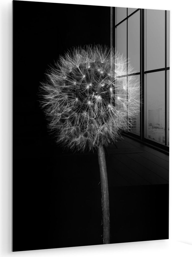 MuchoWow Glasbilder - Bilder auf Wandbild - Foto auf Glas Löwenzahn - Schwarz - Floral - Botanisch 30x40 cm Wanddekoration aus Glas - Acrylglasbil...