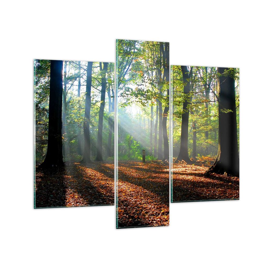 Bilder auf glas - Wald Blätter Sonne - 95x80cm - Glasbilder - Wandbilder - Kunstdruck - zum Aufhängen bereit - Wanddekoration aus Glas - Glas Bil...