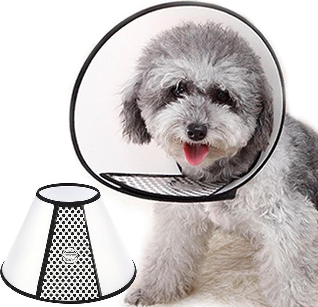 SUQ Haustier Kegel Einstellbare Halskrause für Kleine Hunde Produktbild 