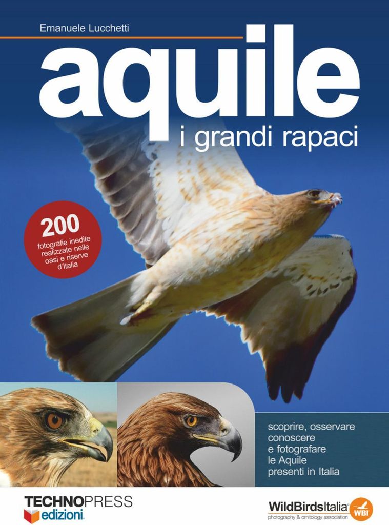 Aquile. I grandi rapaci