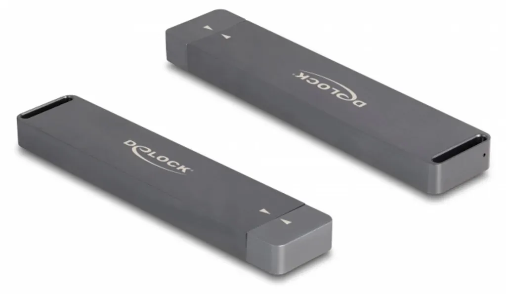 Boîtier SSD M.2 Double Protocole NVMe et SATA Delock avec Câble USB-C Inclus - 3