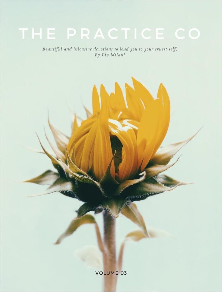 The Practice Co - Volume Three