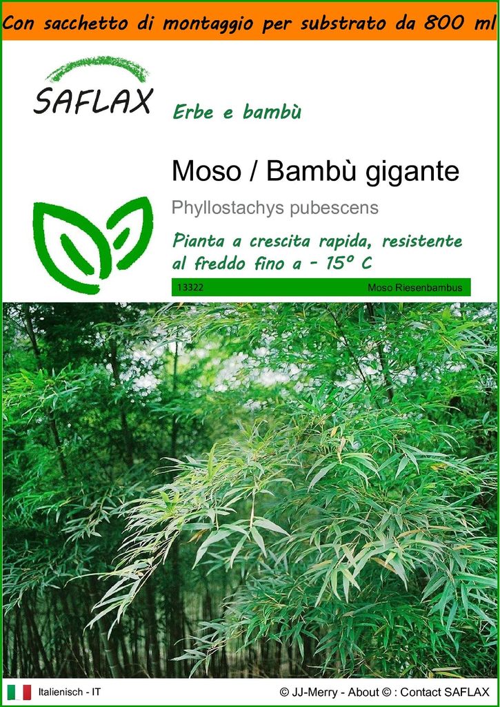 SAFLAX Garden in the bag - Moso / Bambù gigante - 20 semi - Immagine del prodotto 