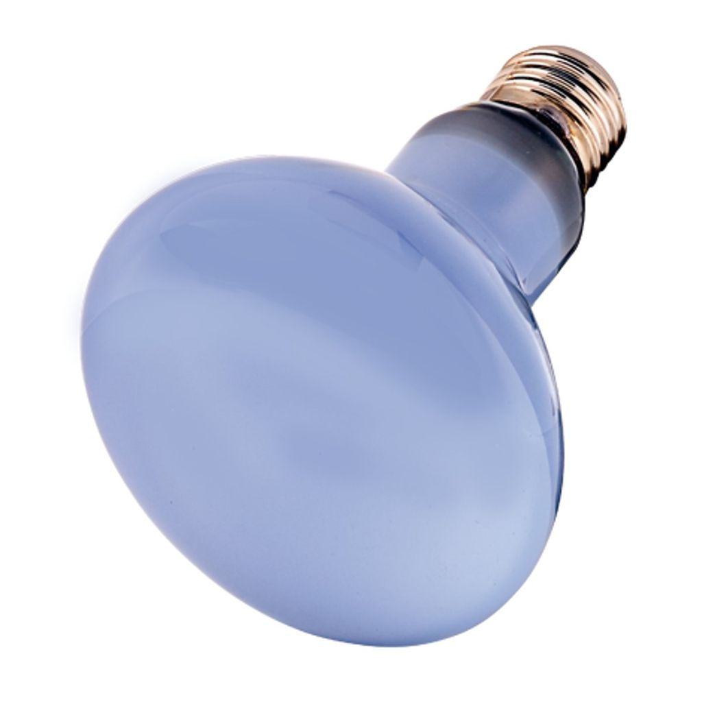 Hobby Neodymium Daylight Eco Kaufland de hobby-neodymium-daylight-eco-kaufland-de