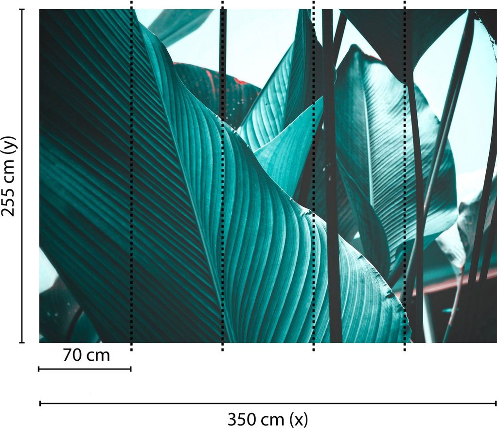 Tadessi Fototapete | Natur | 3.50 m x 2.55 m | Blau | Schwarz | Wandbild | Digitaldruck