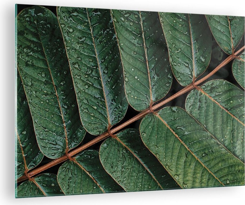 Bilder auf glas - Einteilig - Tropfen Wasser Blätter - 70x50cm - Glasbilder - Wandbilder - Bilder - zum Aufhängen bereit - Wanddekoration aus Gla...