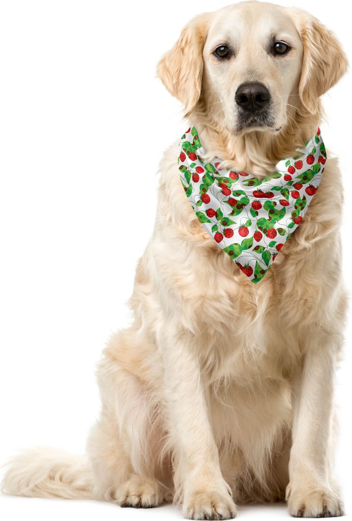 ABAKUHAUS Früchte Haustier Bandana, Sommer Vibes Joyful, 55x55 cm, Rote Farn-Grün Weiß