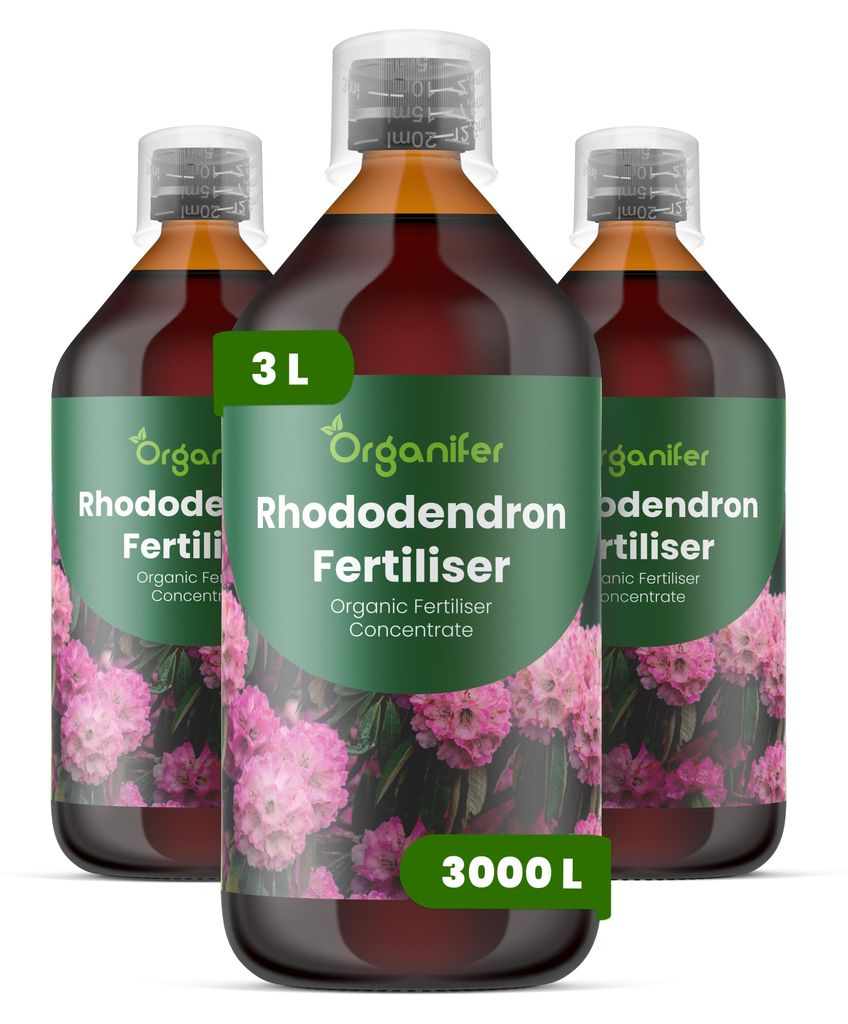Rhododendren Flüssigdünger 3x1L – 2-1-8 NPK – Flüssig-Pflanzendünger für Rhododendren – Fördert gleichmäßige Blütenbildung & gesunde...