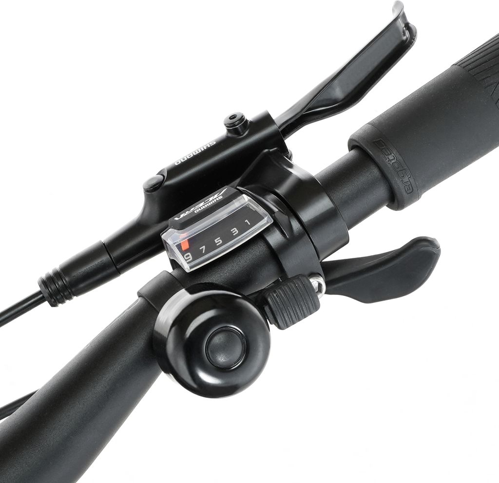 FISCHER E-Bike Pedelec Trekking Viator 4.2i Diamant, Produktbild 12