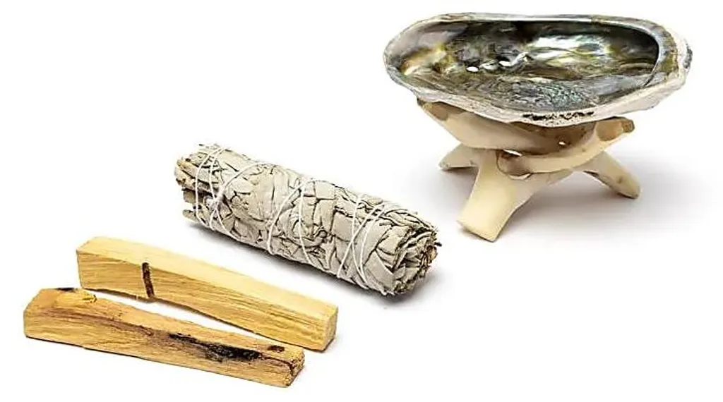 Coffret de Fumigation Sauge Blanche et Palo Santo - Set de Nettoyage Zen