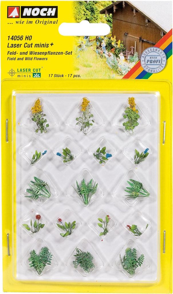 NOCH 17 Feld- und Wiesenpflanzen in bunten Farbnuancen als Produktbild 