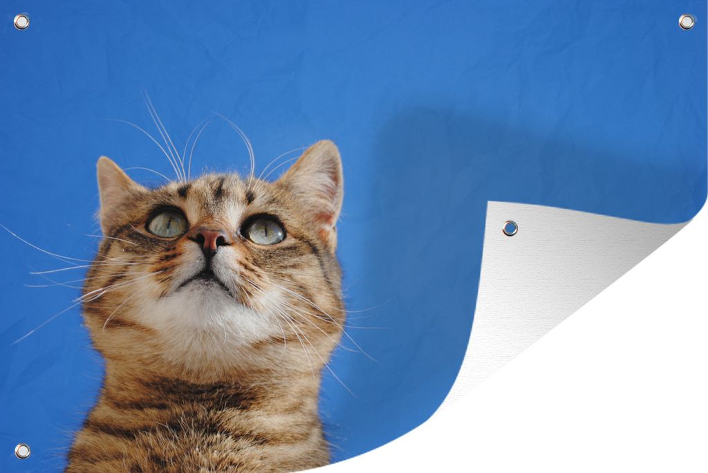 MuchoWow 60x40 cm Outdoor-Poster Gartendeko Sichtschutz Garten Poster für den Garten Katze - Braun - Luft - Mädchen - Jungen - Kinder