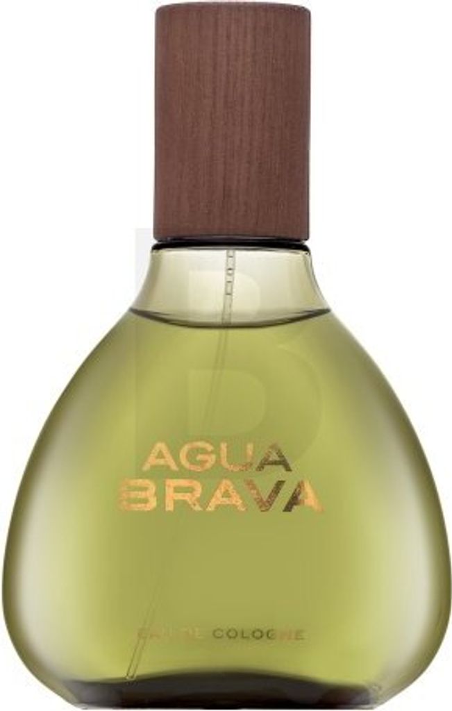 Antonio Puig Agua Brava cologne pour hommes 100 ml Image du produit 