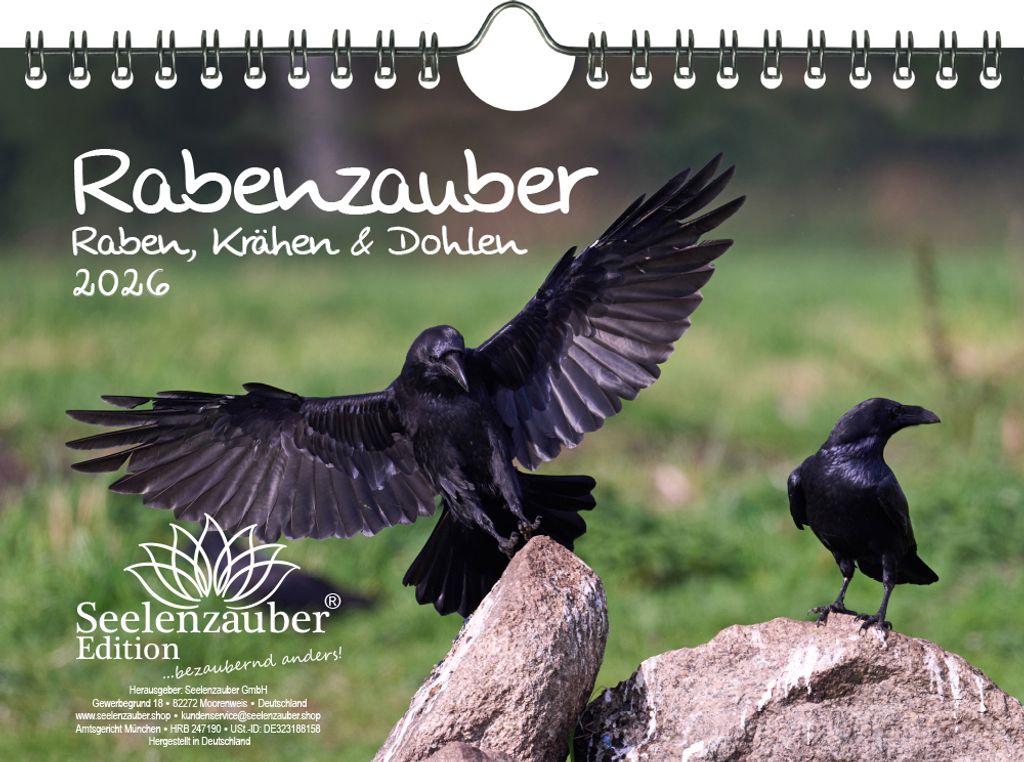 Rabenzauber Raben, Krähen und Dohlen DIN A5 Kalender für 2026 - Seelenzauber