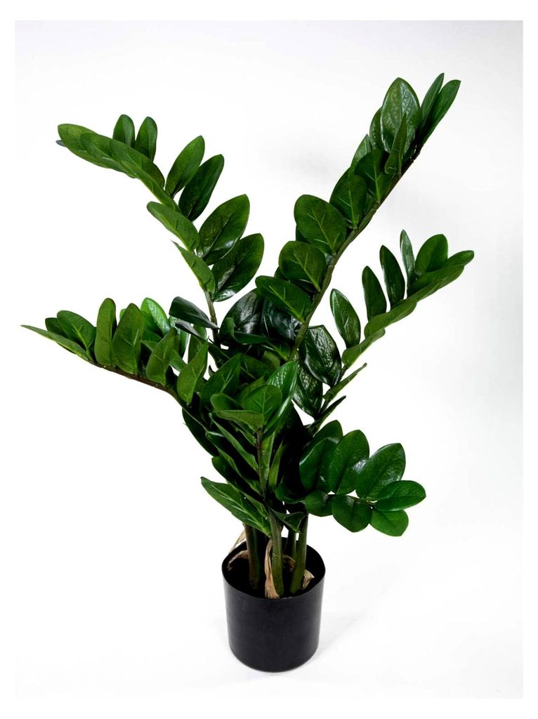 Zamioculcas Zamiifolia / Glücksfeder 72cm Kunstpflanze