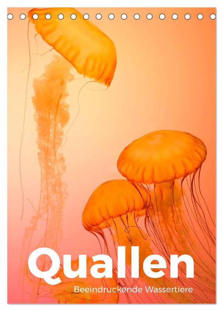 Quallen - Beeindruckende Wassertiere (Tischkalender 2027 DIN A5 hoch), CALVENDO Monatskalender