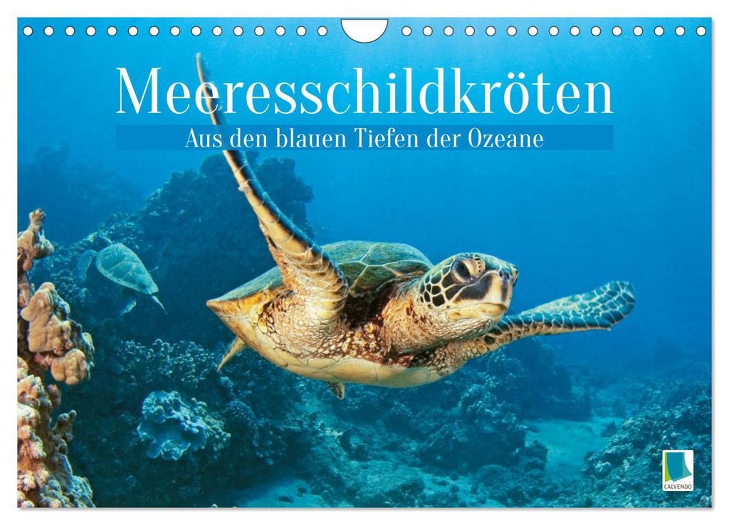 Meeresschildkröten: Aus den blauen Tiefen der Ozeane (Wandkalender 2027 DIN A4 quer), CALVENDO Monatskalender