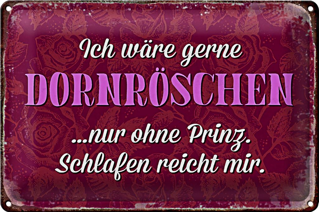 Blechschild Spruch 18x12cm ich gerne Dornröschen ohne Prinz