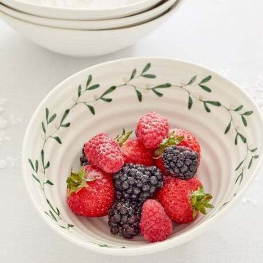 Schale Schüssel Servierschüssel Dessertschale Obstschale Salatschale Suppenschale SOPHIE CONRAN 19 cm HOMLA