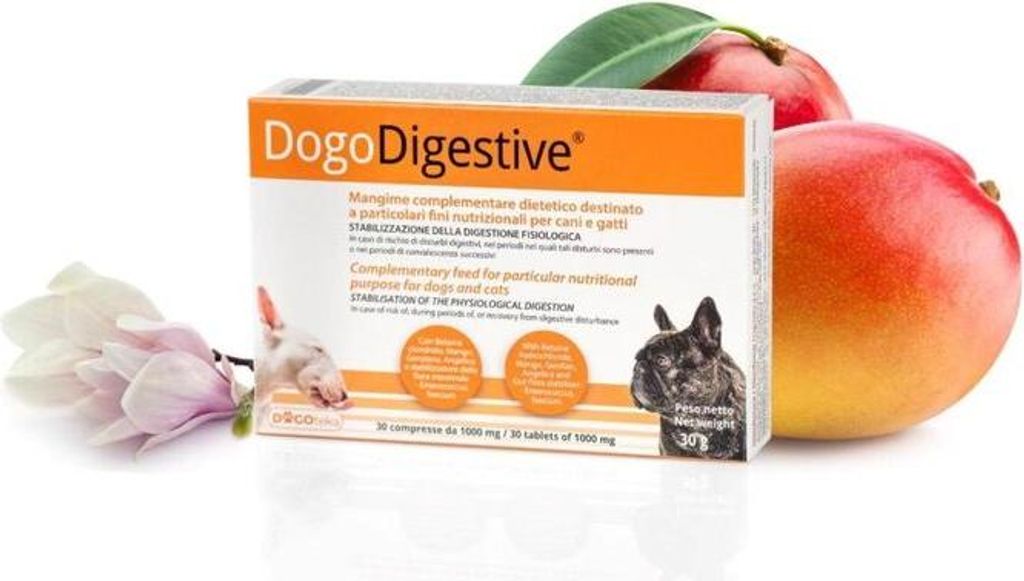 Dogoteka - DogoDigestive - 30 pièces favorise une digestion Image du produit 