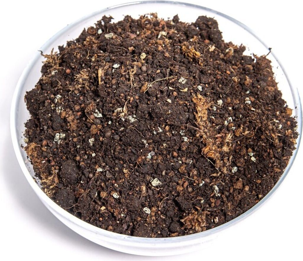 Gardners Kokedama Mix - S, 300 g Obrázok produktu 